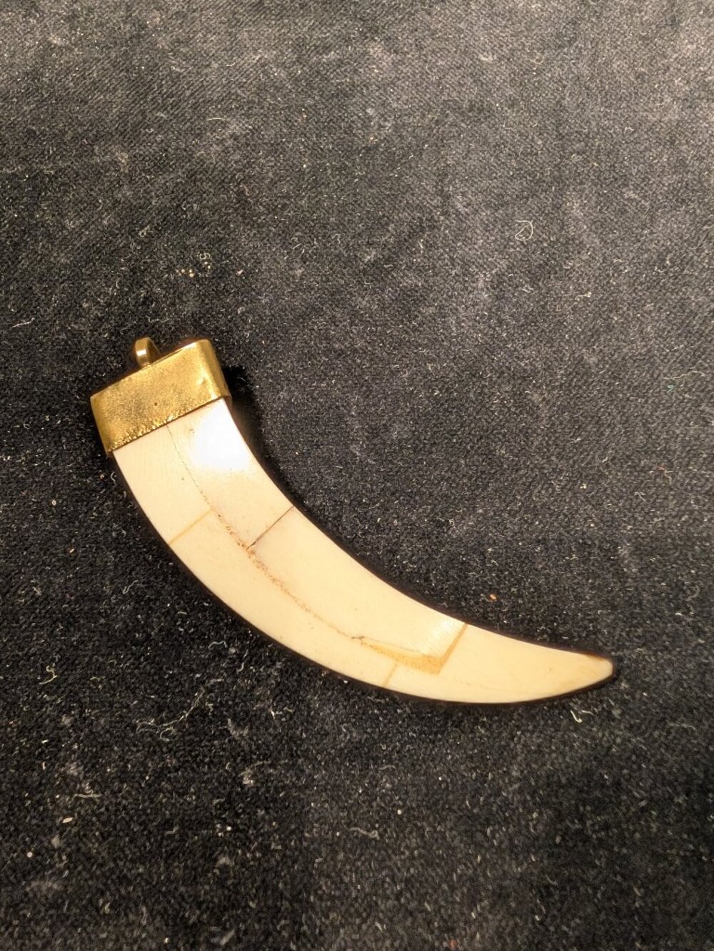 VINTAGE Curved bone or horn tusk-form Pendant